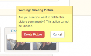 Confirm delete picture action