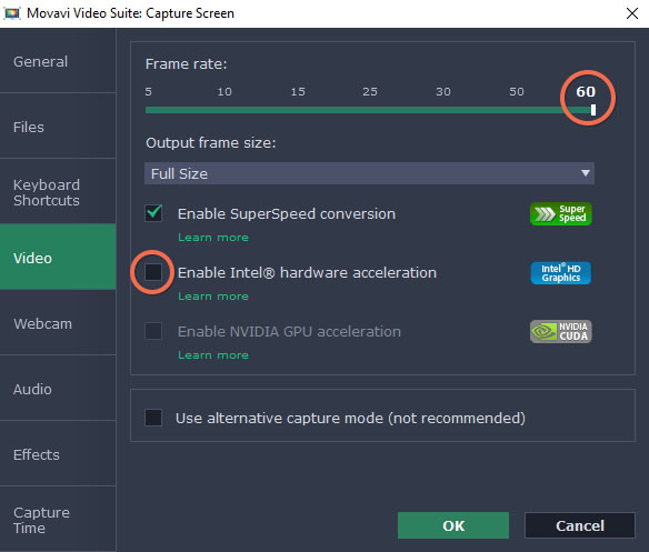 Settings for Pictramap Recording Video with Movavi Screen Capture